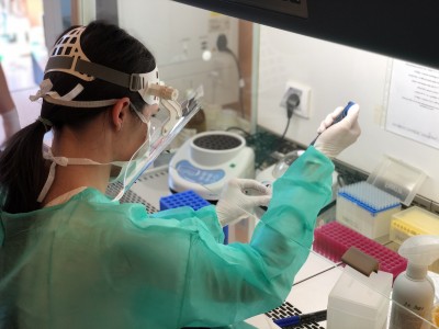 Nemocnice Strakonice zahájila tzv. PCR diagnostiku pacientů s koronavirovou infekcí